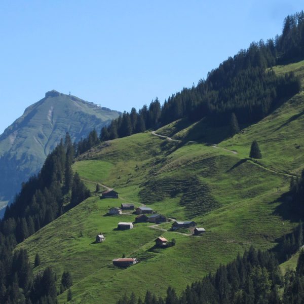 Diedamskopf und Alpe im Hochsommer bregenzerwald hotel krone au